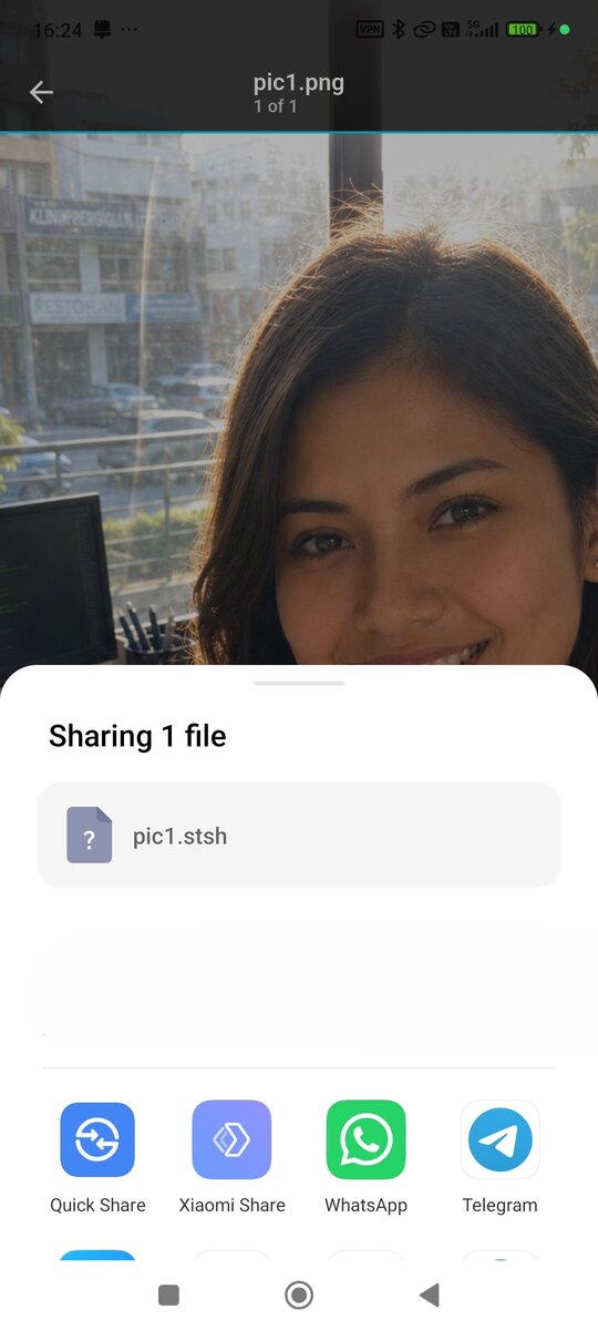 Sharing a hidden image as a .stsh file